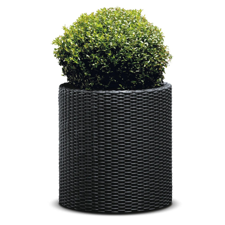 Keter Round Planter Rattan Style - Size M - 36 cm Diameter Anthracite Cylinder Flower Pot Indoor Outdoor Weatherproof