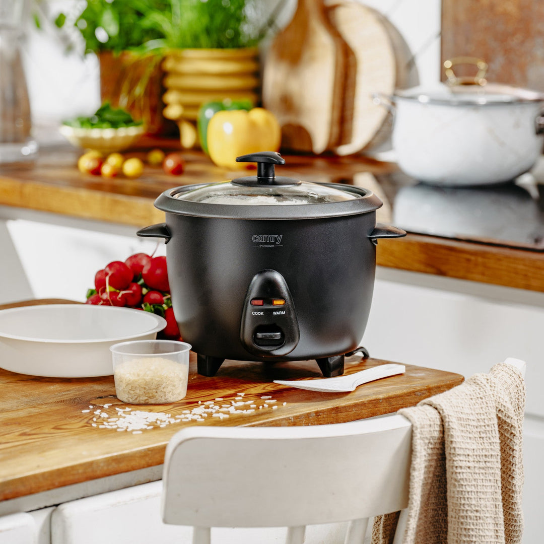 Camry rice cooker, capacity 1.0 L, power 400W, CR 6419