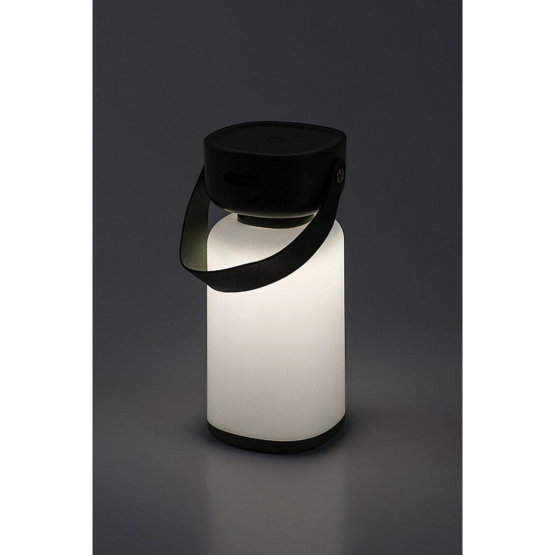 Rabalux decorative lamp, outdoor, IP44, 3W, green, Funes