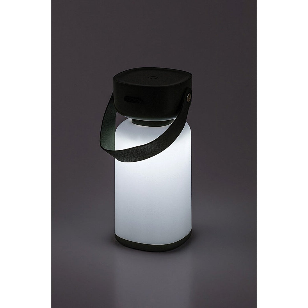 Rabalux decorative lamp, outdoor, IP44, 3W, green, Funes