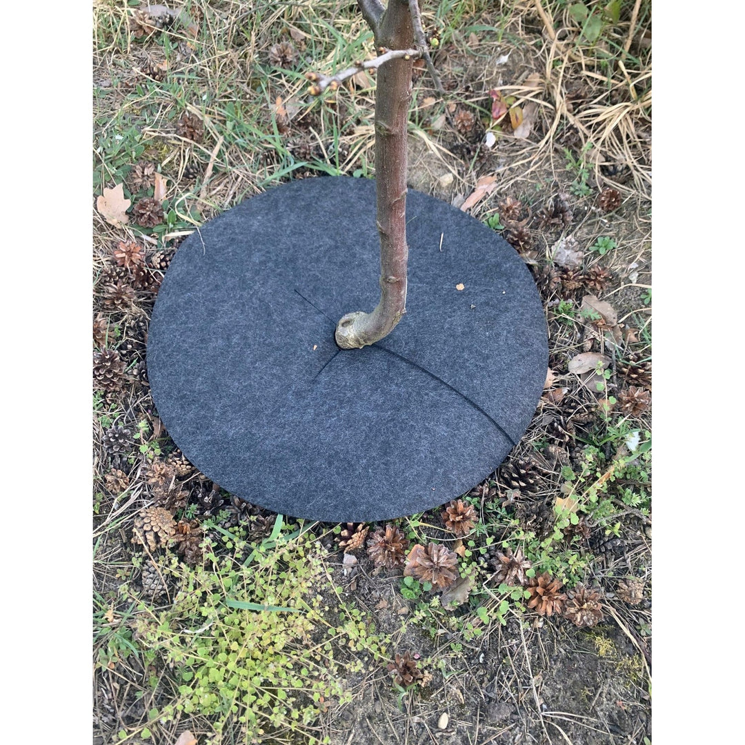 Bertoni anti-weed disc set for use in the garden, 3 pieces, 50 cm, gray