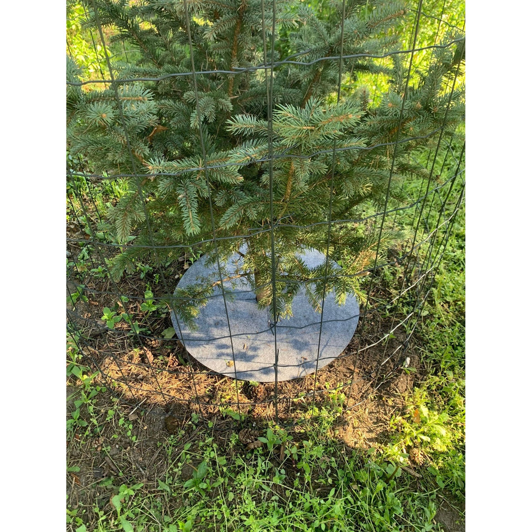 Bertoni anti-weed disc set to use in the garden, 6 pieces, 40 cm, gray
