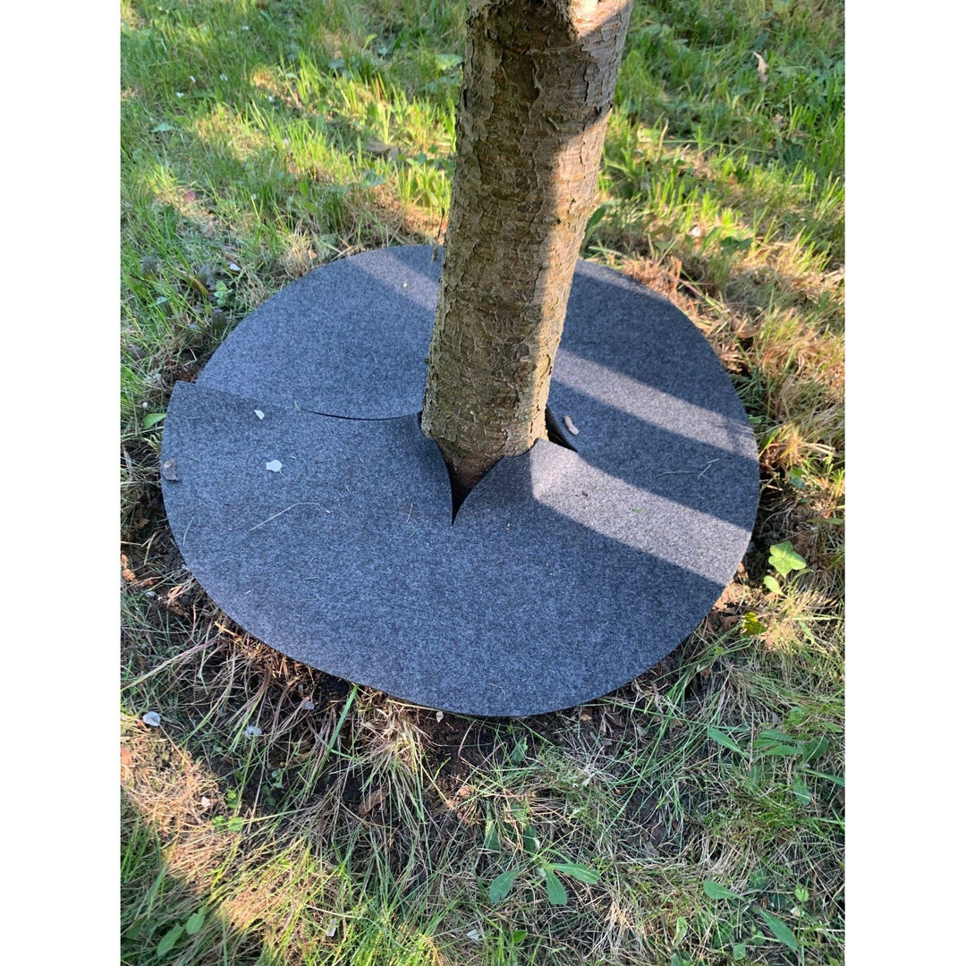 Bertoni anti-weed disc set to use in the garden, 6 pieces, 50 cm, gray