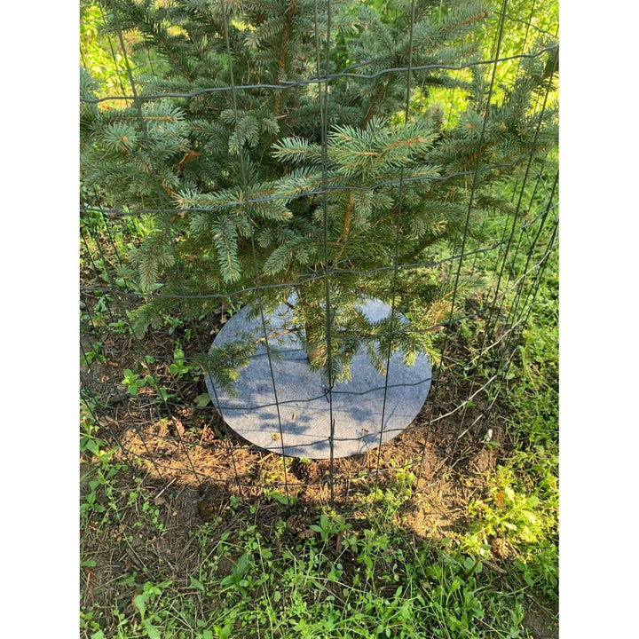 Bertoni anti-weed disc set to use in the garden, 6 pieces, 60 cm, gray