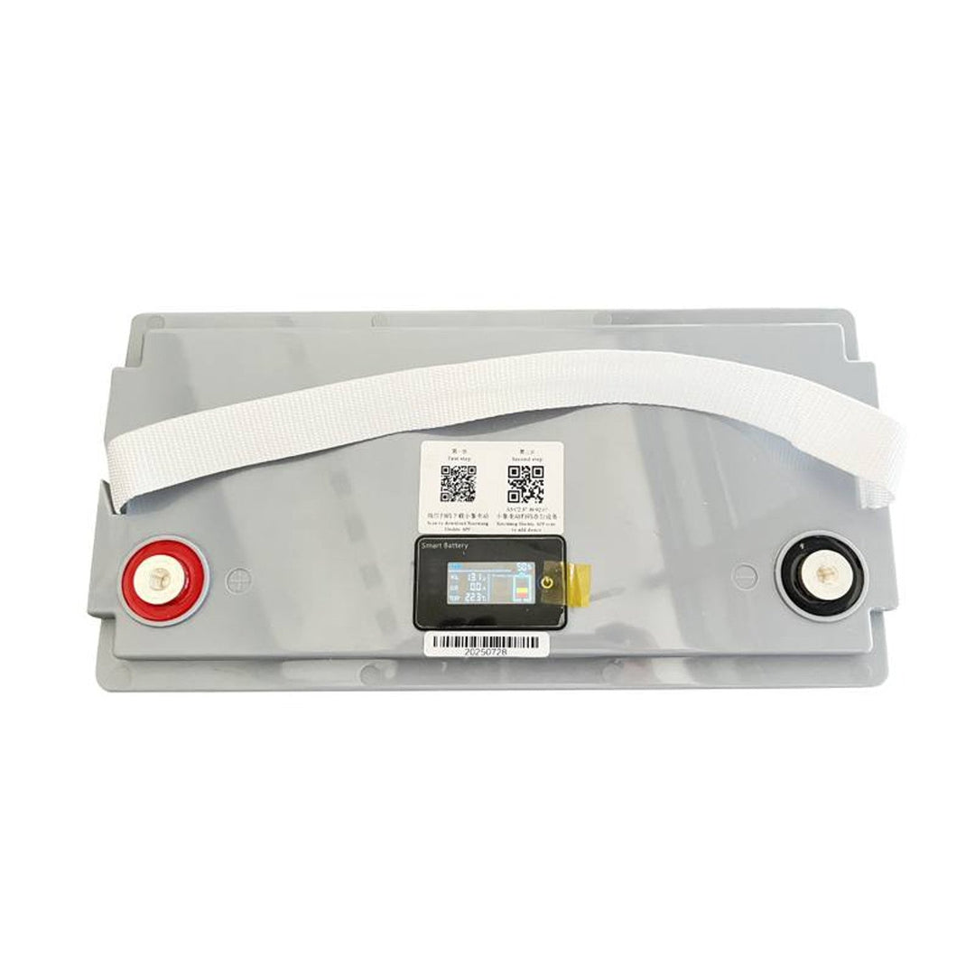 LiFePo4 Lexton lithium-iron-phosphate battery, with BMS, 12.8V, 100Ah, LXLFP100