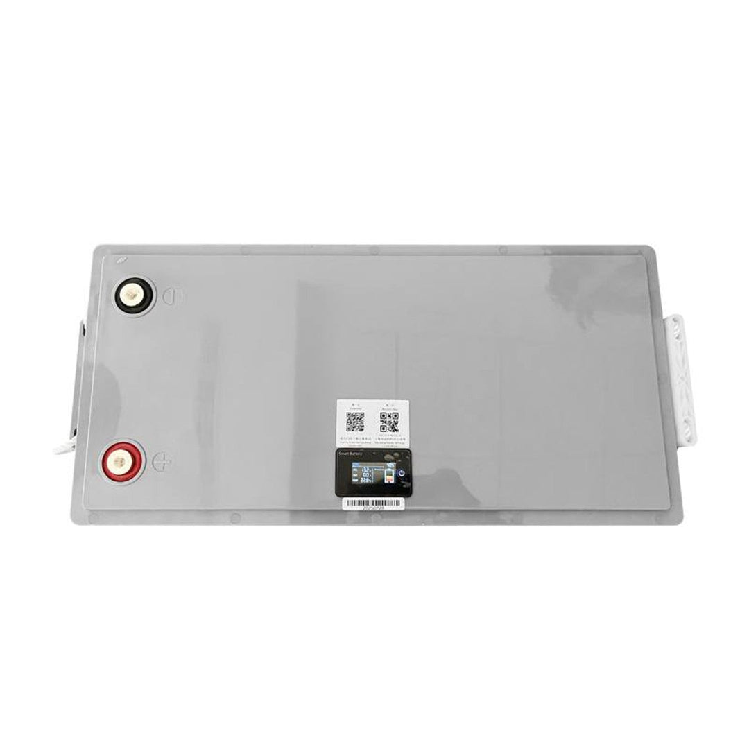 LiFePo4 Lexton lithium-iron-phosphate battery, with BMS, 12.8V, 200Ah, LXLFP200