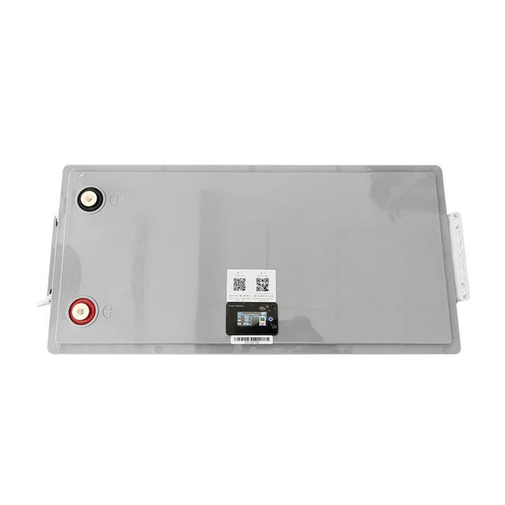 Lexton LiFePo4 Lithium Iron Phosphate Battery, with BMS, 12.8V, 200Ah, LXLFP200 + LTC Energy LiFePO4 Battery Rectifier