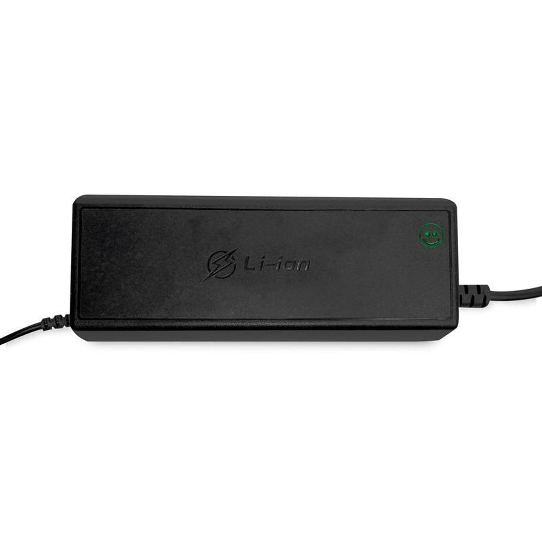 Lexton LiFePo4 Lithium Iron Phosphate Battery, with BMS, 12.8V, 200Ah, LXLFP200 + LTC Energy LiFePO4 Battery Rectifier