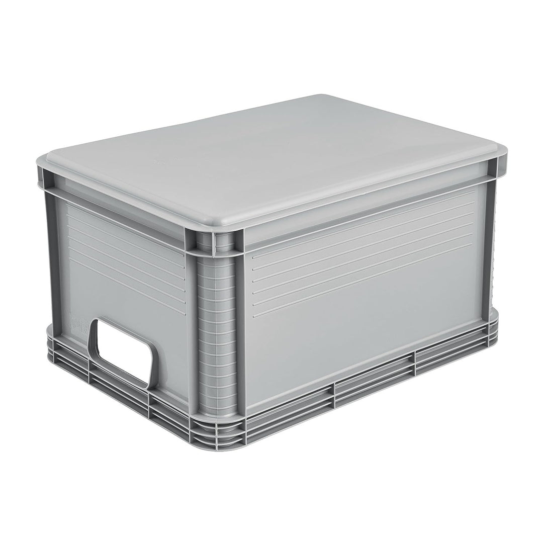 Robert Keeeper Carrying Container, 20L capacity, gray, food-safe, lightweight and durable, load capacity up to 30 kg, 2 pieces