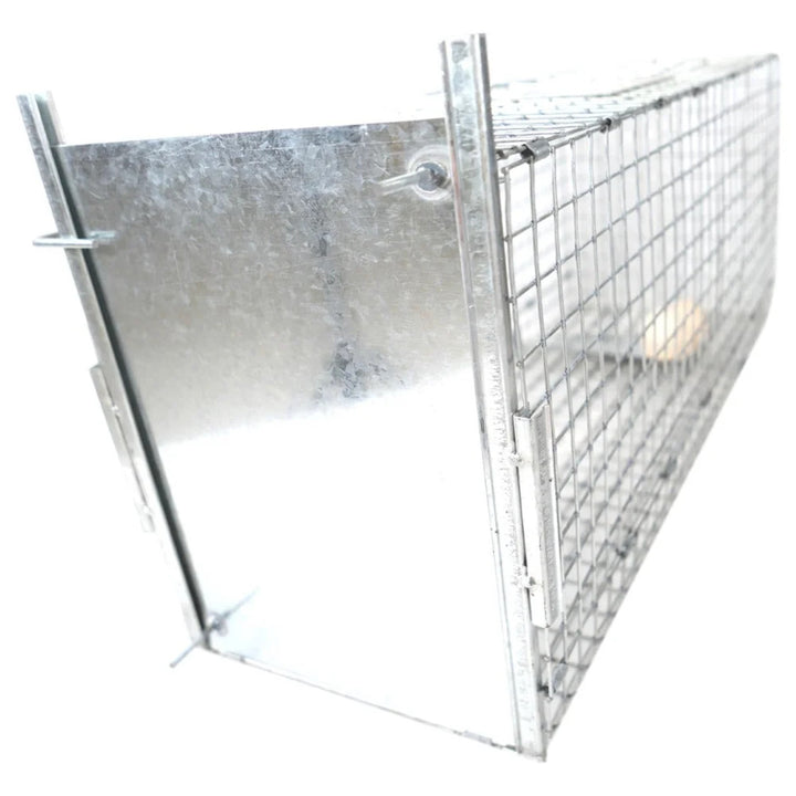 Live trap for martens, rats, mice, minks, and weasels, Viano P2