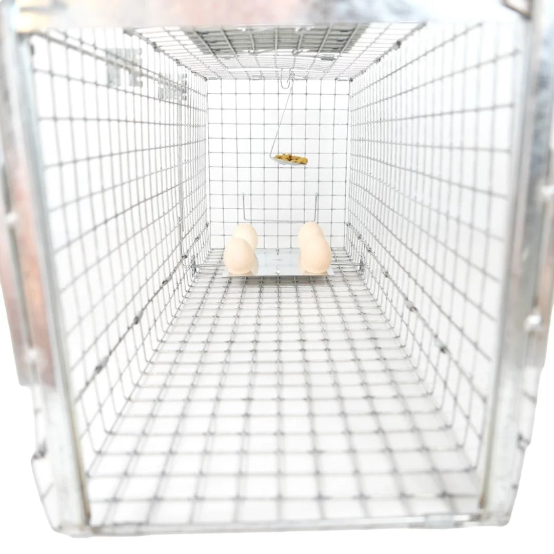Live trap for martens, rats, mice, minks, and weasels, Viano P2