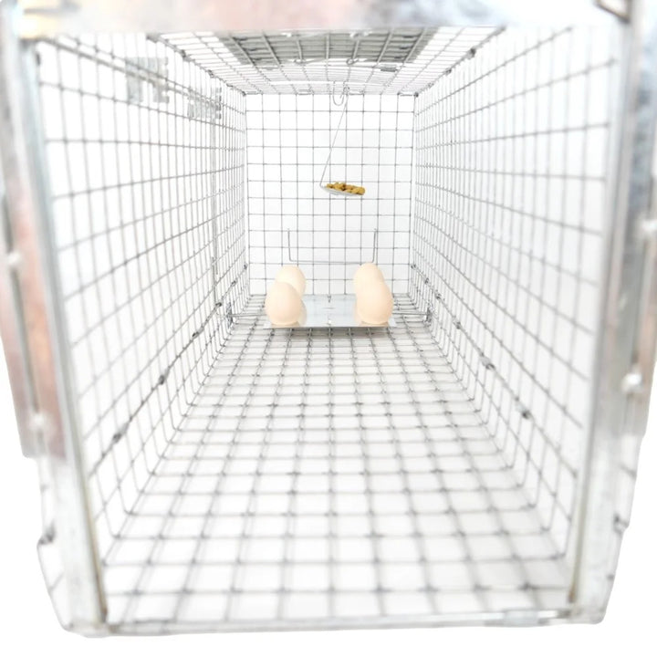 Live trap for martens, rats, mice, minks, and weasels, Viano P2, 2 pieces