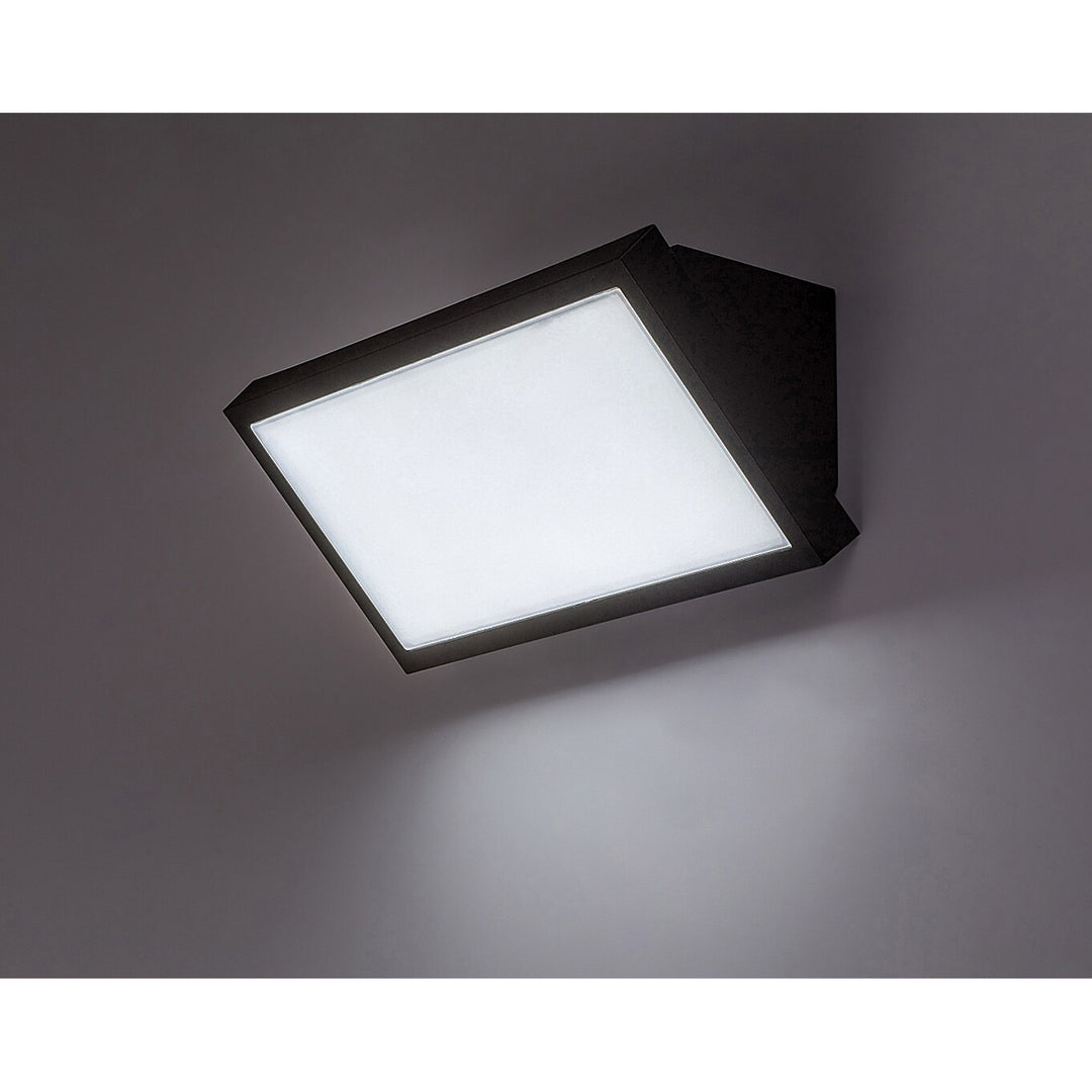 Rabalux Rapla2 LED 18W Light, Black, IP65, Energy Efficiency Class F, Color Temperature Adjustment: 2700, 4000, 6500 K, 77150, 2 pieces