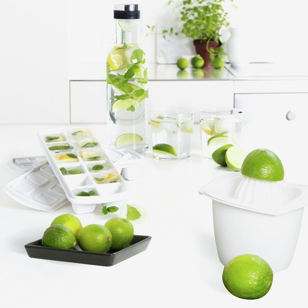 Plast Team 18080800 Ice Cube Tray perfect ice cubes