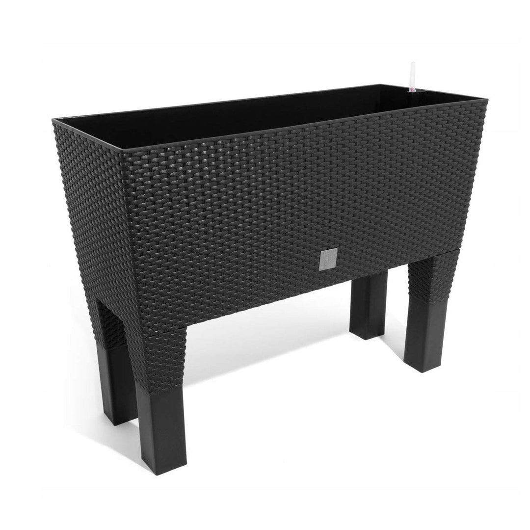 Prosperplast DRTC600H-S433 Rattan flowerpot Prosperplast Rato Case DRTC600H S433 anthracite