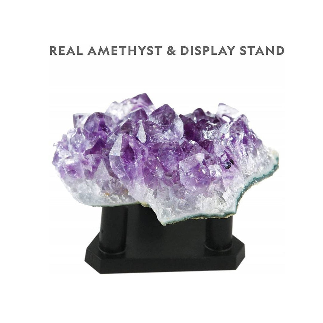 National Geographic - Purple Crystal Growing Lab Kit - Amethyst - Grow Amazing Crystals at Home
