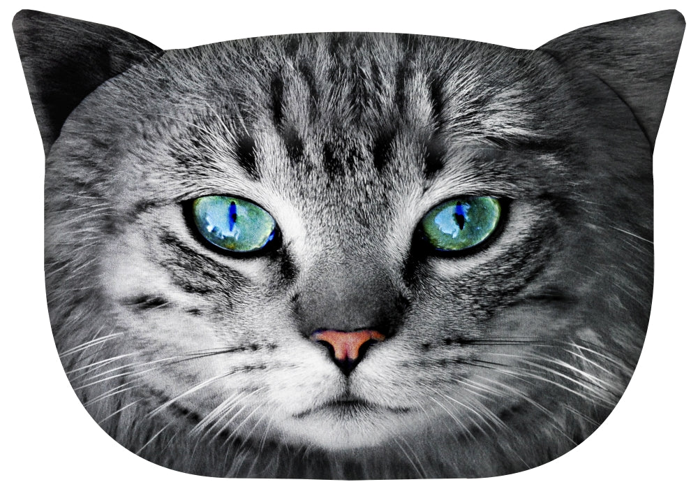 Bertoni Fritz Cat decorative pillow 30x45 cm, velour, cat print, anti-allergenic insert