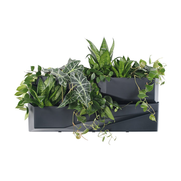 Prosperplast IO3W800-S433 Vertical Garden Cascade Garden Wall 78cm