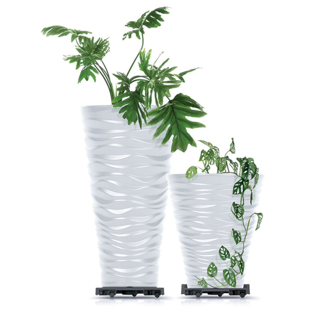 Prosperplast Mobile Saucer Round IPRR300-S433 Under Flower Pot Platform with Saucers