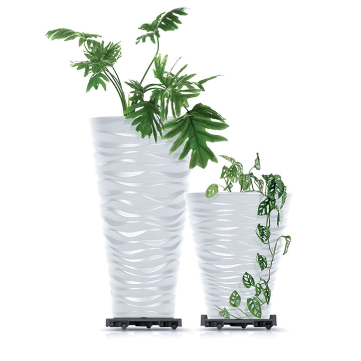 Prosperplast Mobile Saucer Round IPRR300-S433 Under Flower Pot Platform with Saucers