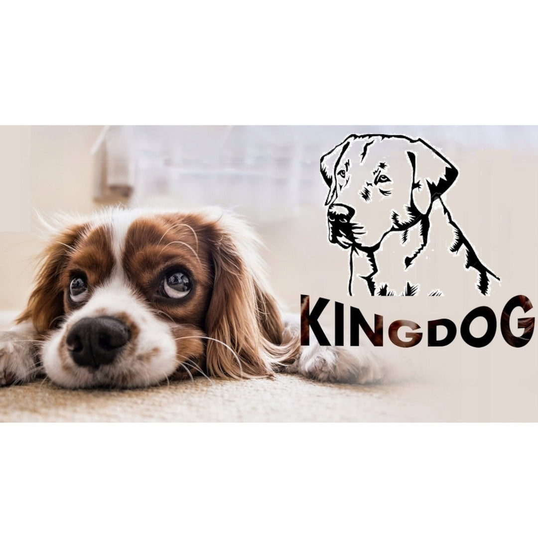 KingDog Waterproof Dog Cat Bed Pet 2 Cushions Washable PVC