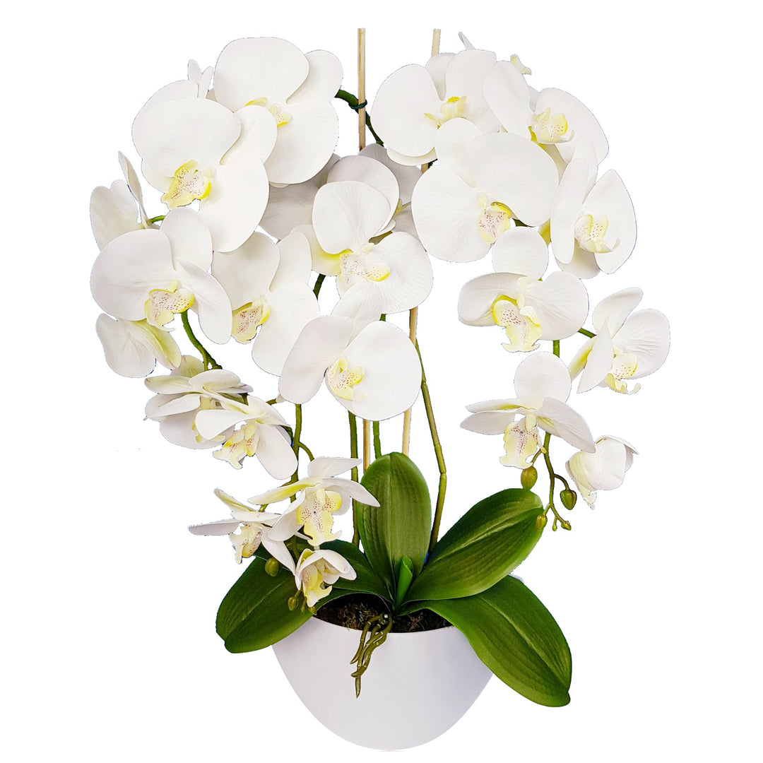 Damich Artificial Orchid in a Flower Pot Plant Artificial Flower Decoration 3-flowering Branches Height About 60cm White
