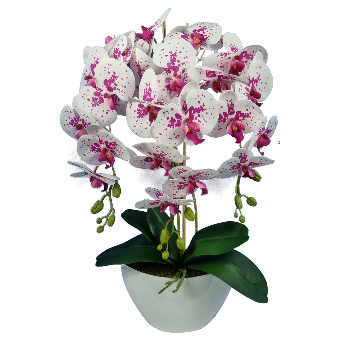Damich Artificial Butterfly Orchid in Flower Pot Plant Planter Decoration 3 Flowering Branches 60cm White Red Real Look