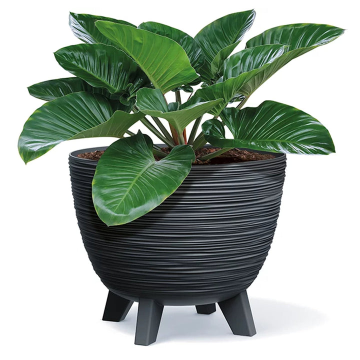 Prosperplast DFUR400-S433 Flower Pot Planter with Legs Anthracite