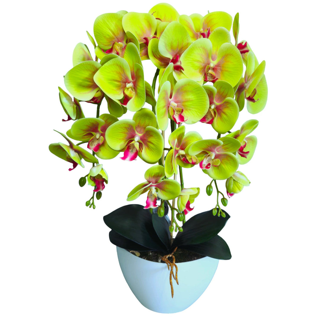 Damich Artificial Orchid, Green, Made of Rubber, 3pgz, Lifelike Looks